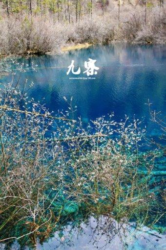 江西省袁州区发布寒潮蓝色预警